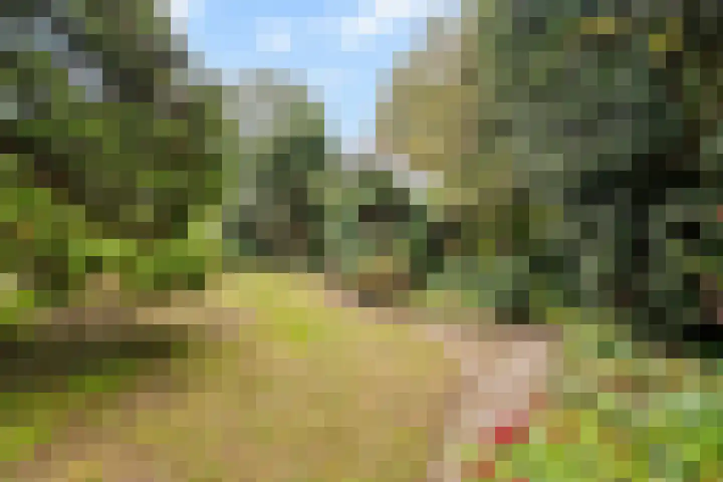 Lamoen 8 Barendrecht thumbnail 34