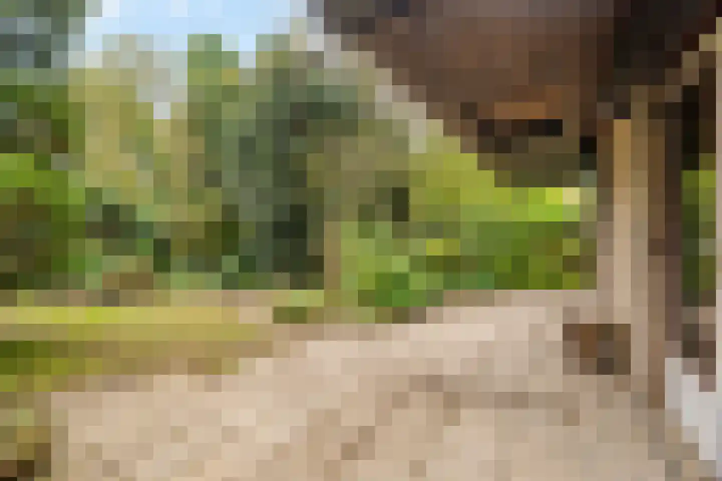 Lamoen 8 Barendrecht thumbnail 36