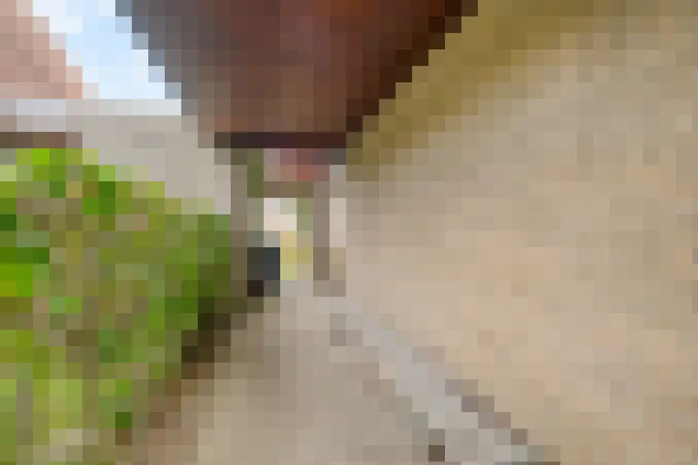 Lamoen 8 Barendrecht thumbnail 37