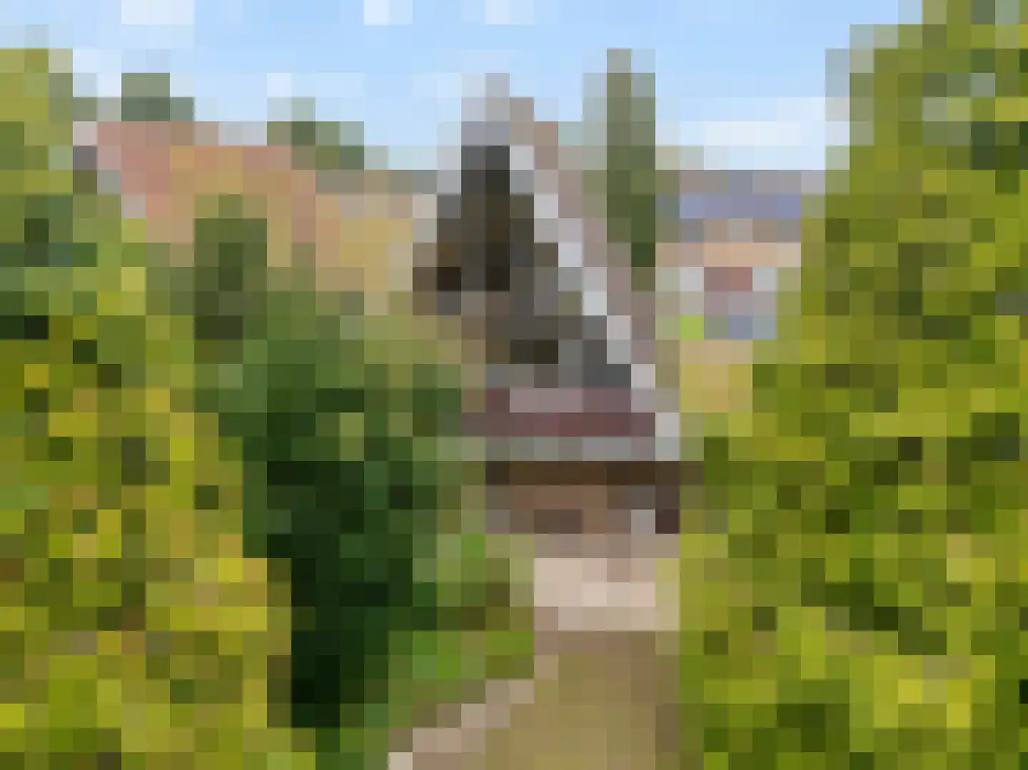 Lamoen 8 Barendrecht thumbnail 40