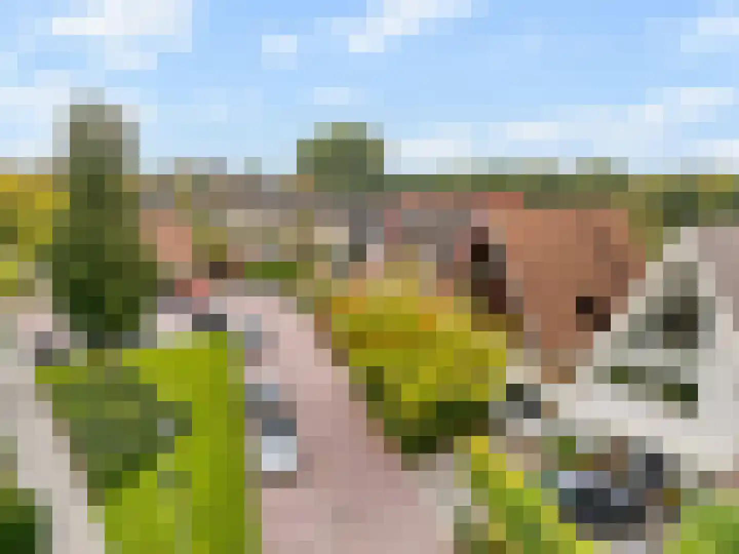 Lamoen 8 Barendrecht thumbnail 46