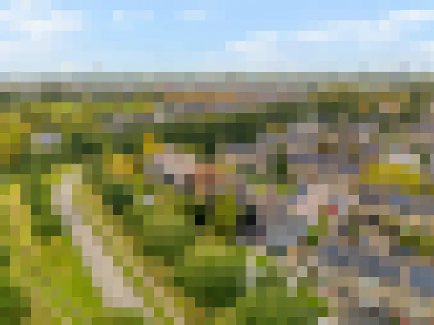 Lamoen 8 Barendrecht thumbnail 47