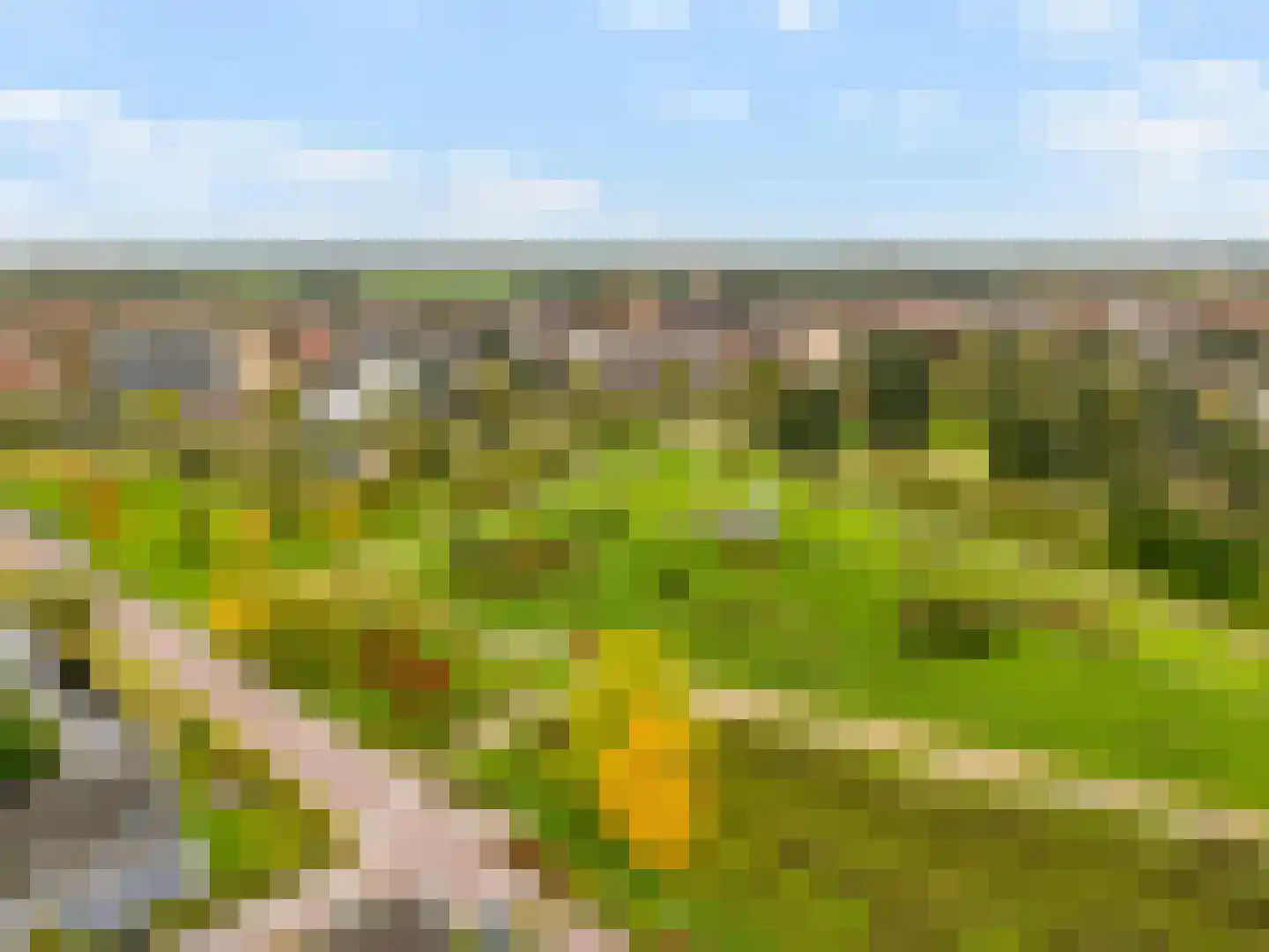 Lamoen 8 Barendrecht thumbnail 53