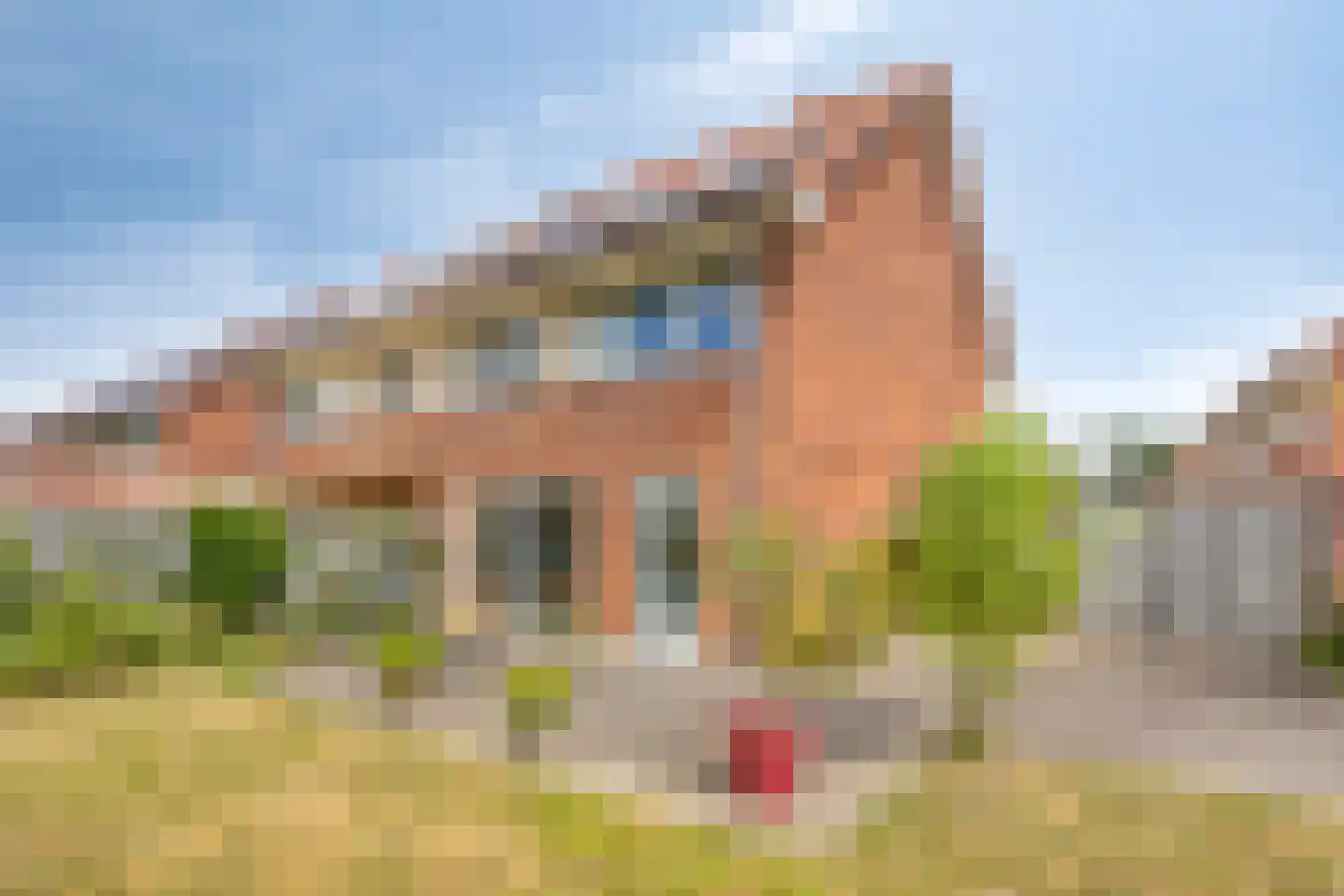 Lamoenenhof 23 Ravenstein thumbnail 33