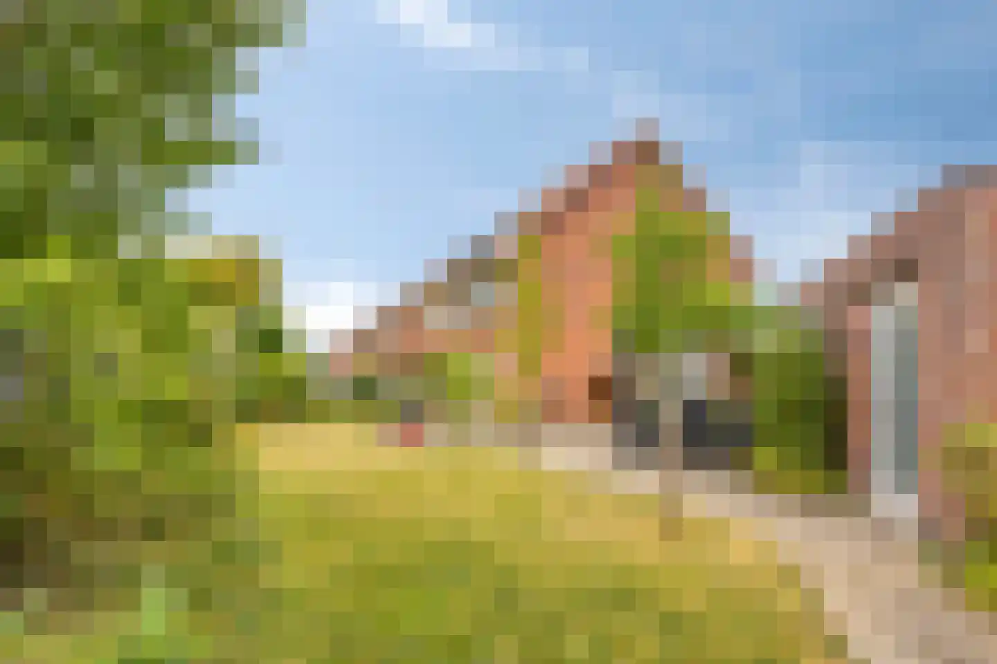 Lamoenenhof 23 Ravenstein thumbnail 6
