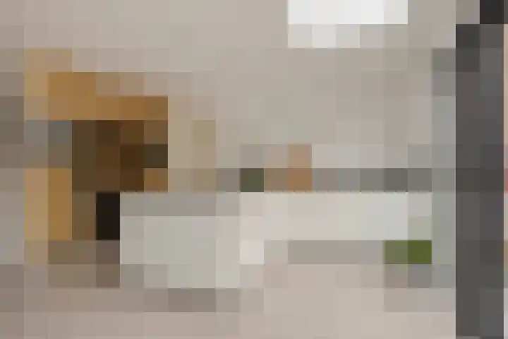Lamoenenhof 27 Ravenstein thumbnail 15