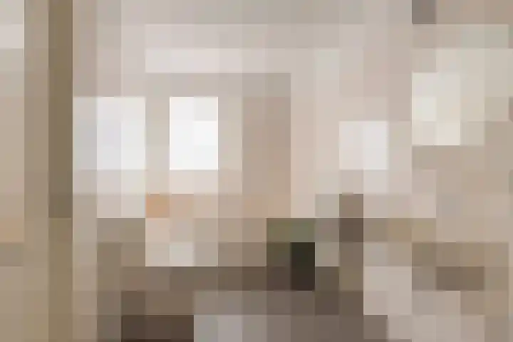 Lamoenenhof 27 Ravenstein thumbnail 21