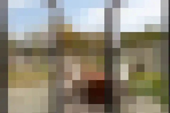 Lamoenenhof 27 Ravenstein thumbnail 33