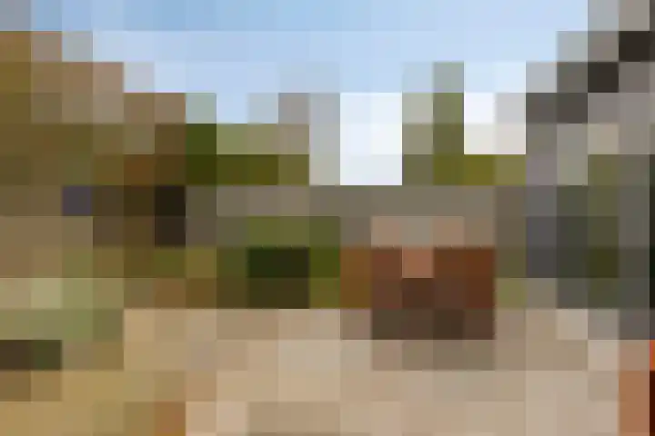 Lamoenenhof 27 Ravenstein thumbnail 35