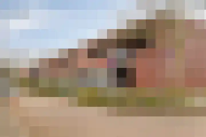 Lamoenenhof 27 Ravenstein thumbnail 39
