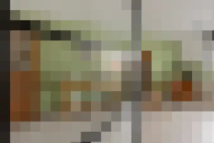 Lamoenenhof 27 Ravenstein thumbnail 7