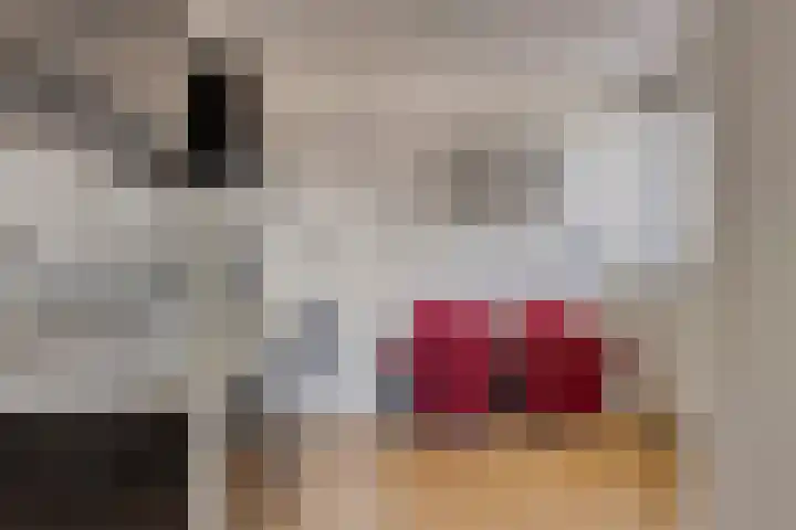 Lamoenstraat 49 Purmerend thumbnail 27