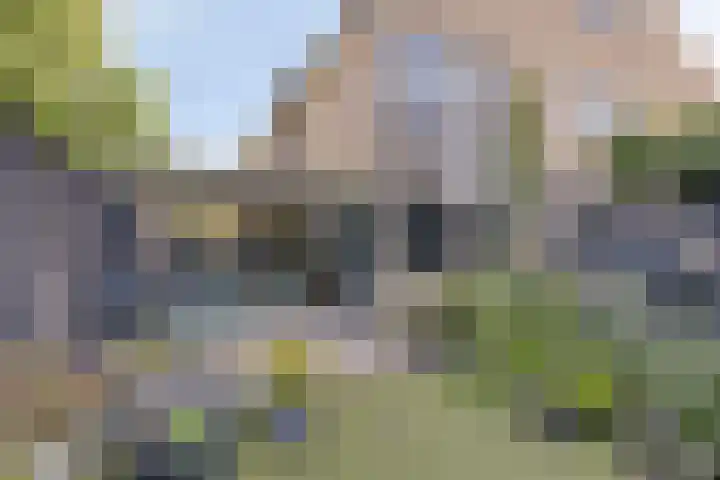 Lamoenstraat 49 Purmerend thumbnail 4