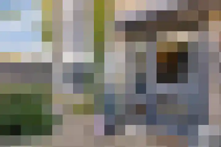 Lamoenstraat 49 Purmerend thumbnail 5