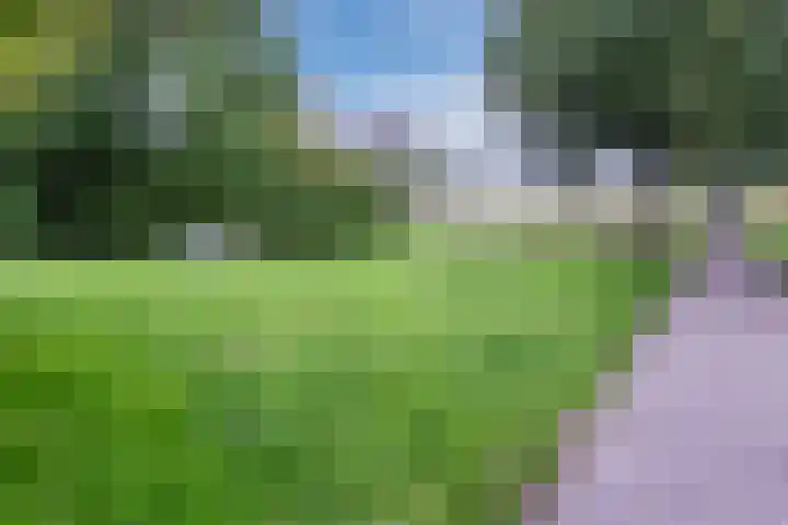 Lamoenstraat 72 Purmerend thumbnail 47