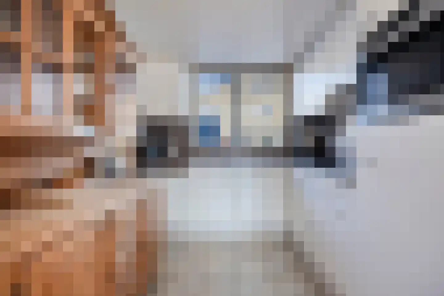 Lamoenstraat 79 Purmerend thumbnail 4