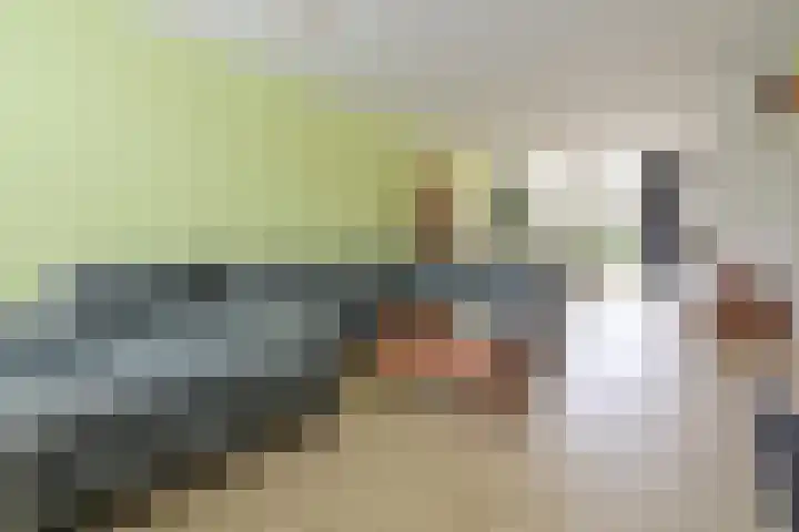 Lamoenweg 6 Huizen thumbnail 5