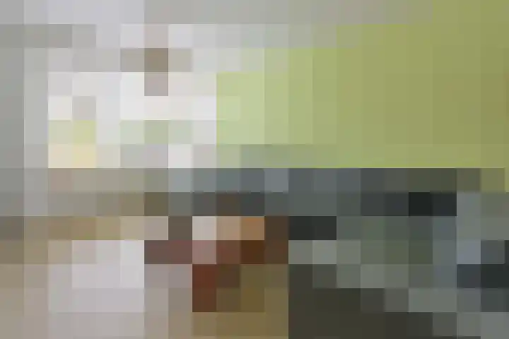 Lamoenweg 6 Huizen thumbnail 6