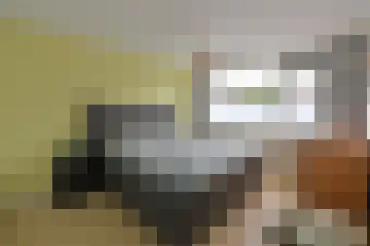 Lamoenweg 6 Huizen thumbnail 7