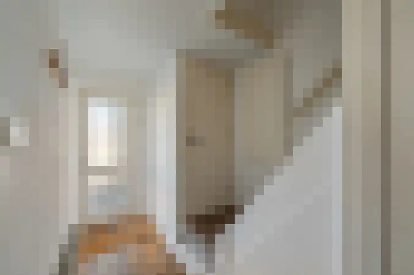 Lamoraal van Egmondstraat 45 Kampen thumbnail 14