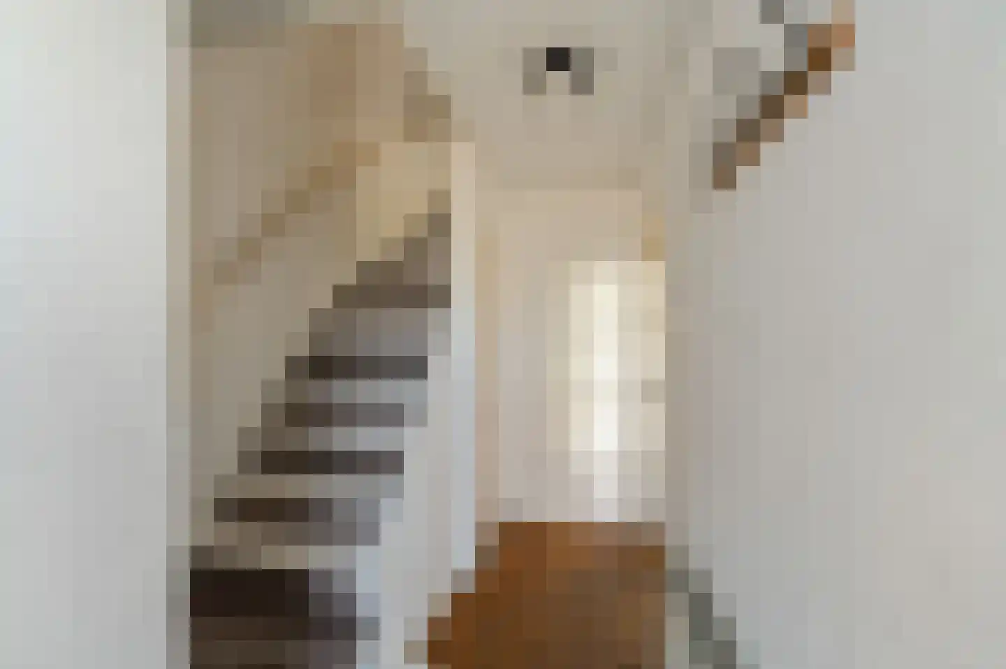 Lamoraal van Egmondstraat 45 Kampen thumbnail 36