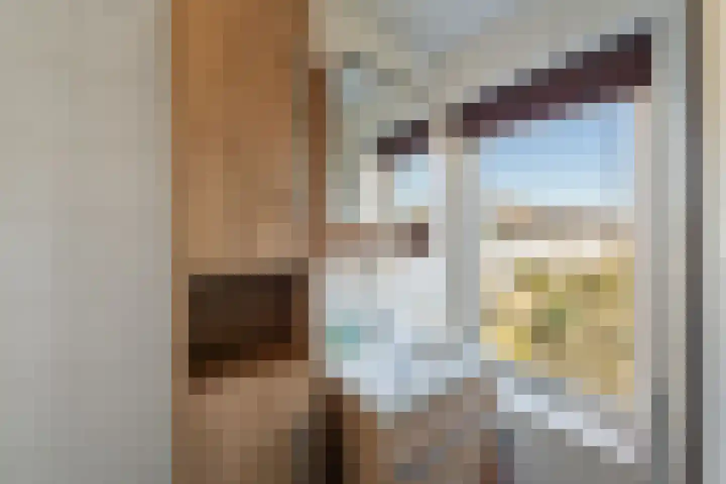 Lamoraal van Egmondstraat 45 Kampen thumbnail 51