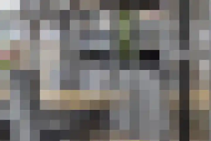 Lamoraal van Egmondstraat 51 Kampen thumbnail 8