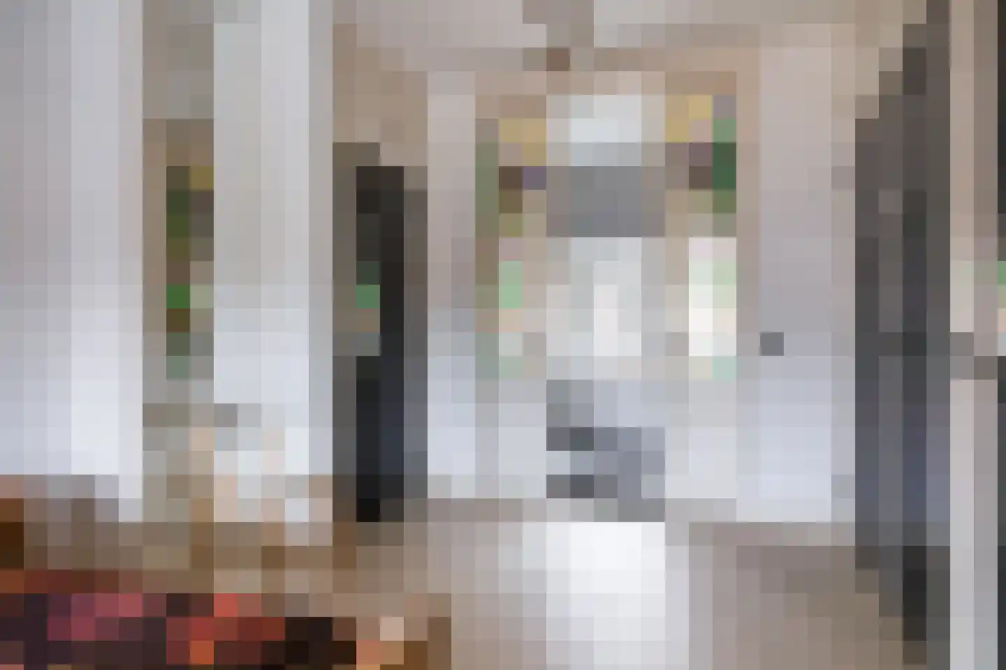 Lamoraalstraat 4 Alkmaar thumbnail 4
