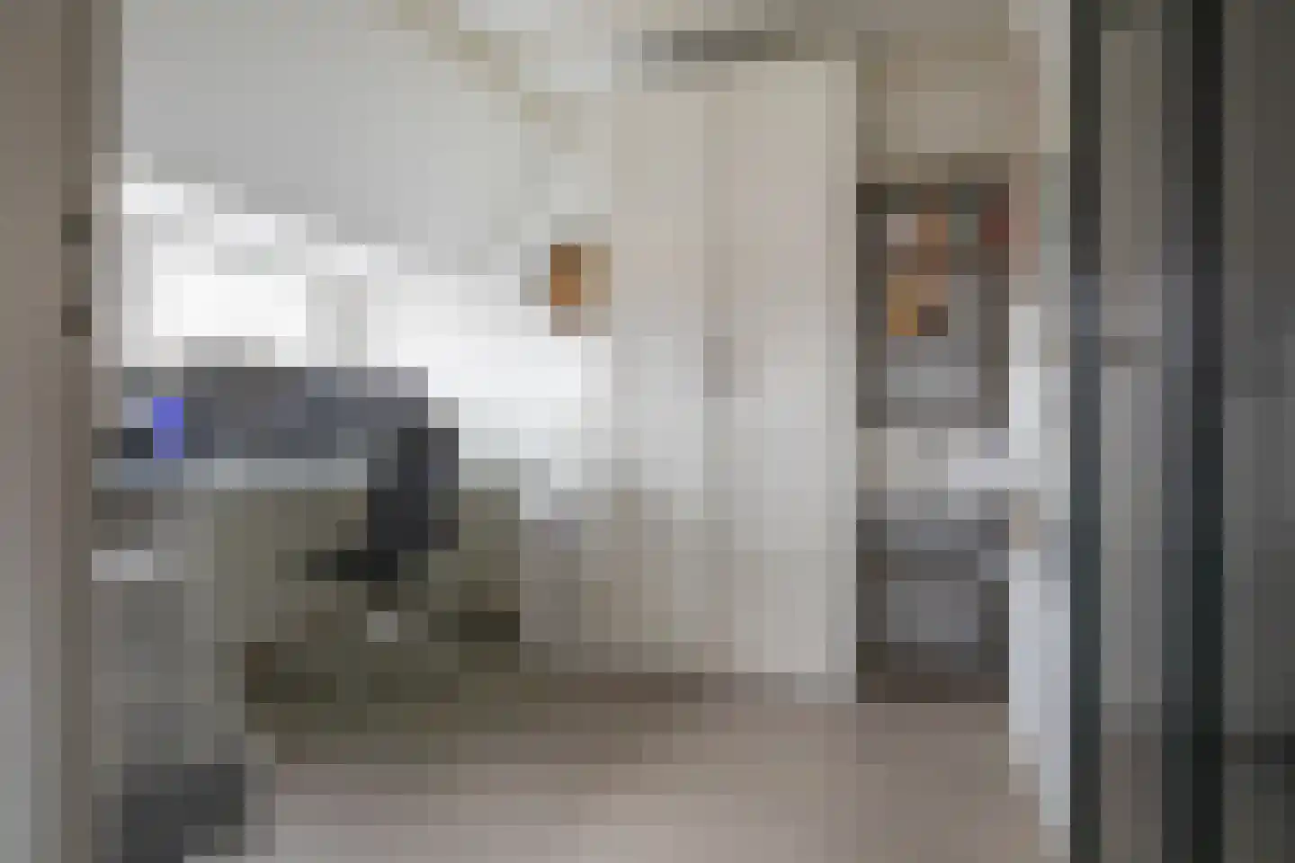 Lamoraalstraat 4 Alkmaar thumbnail 41