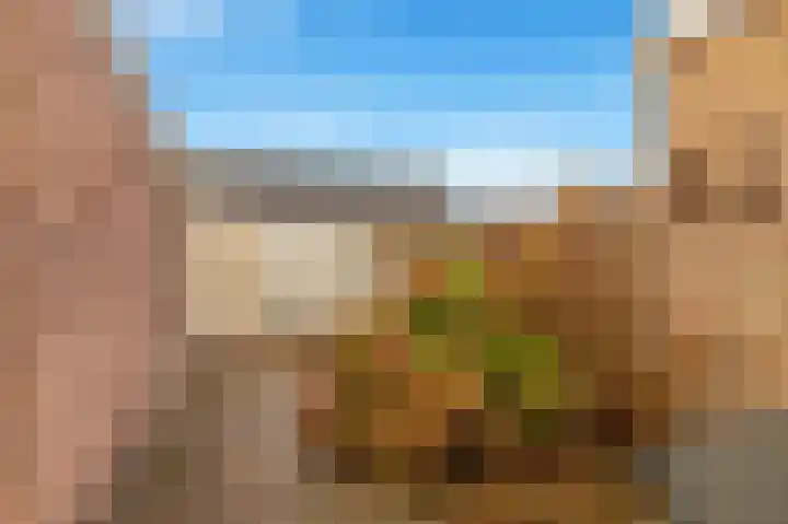 Lamoraalweg 20 Egmond aan den Hoef thumbnail 37