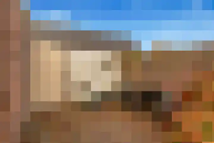 Lamoraalweg 20 Egmond aan den Hoef thumbnail 38