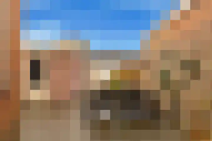 Lamoraalweg 20 Egmond aan den Hoef thumbnail 4