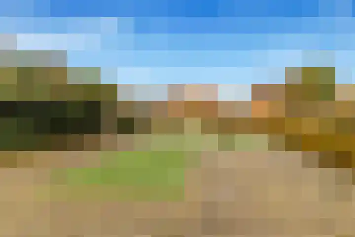 Lamoraalweg 20 Egmond aan den Hoef thumbnail 42