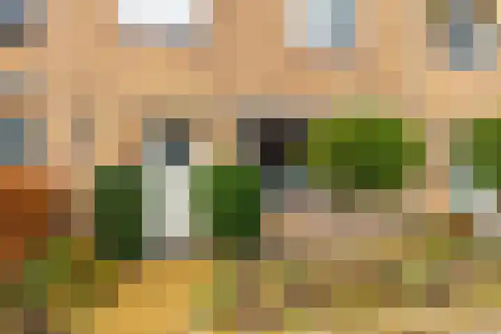 Lamoraalweg 20 Egmond aan den Hoef thumbnail 5