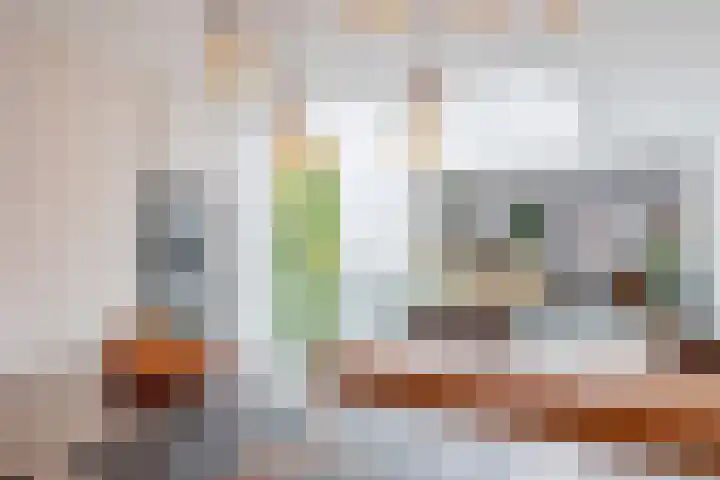 Lampenistenstraat 115 Amsterdam thumbnail 33