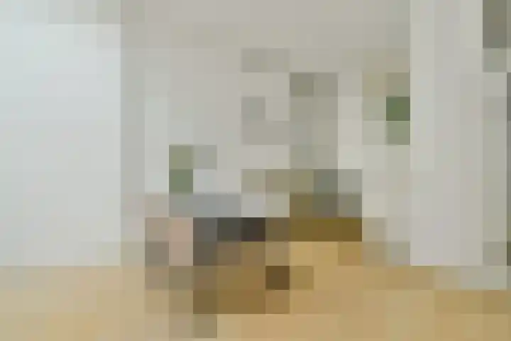 Lampenistenstraat 121 Amsterdam thumbnail 9