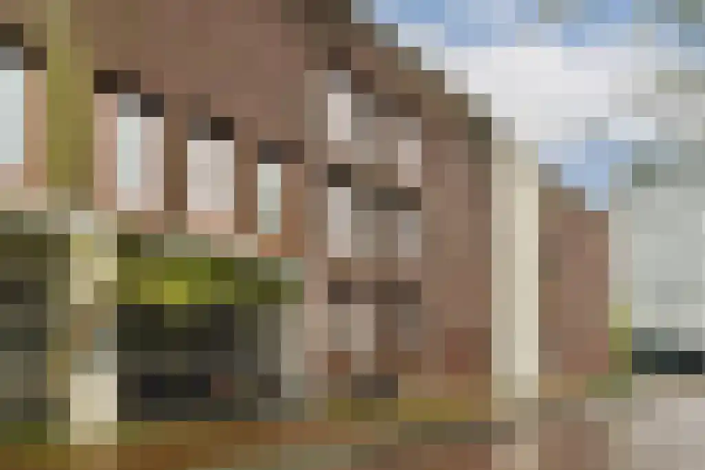 Lampenistenstraat 139 Amsterdam thumbnail 5