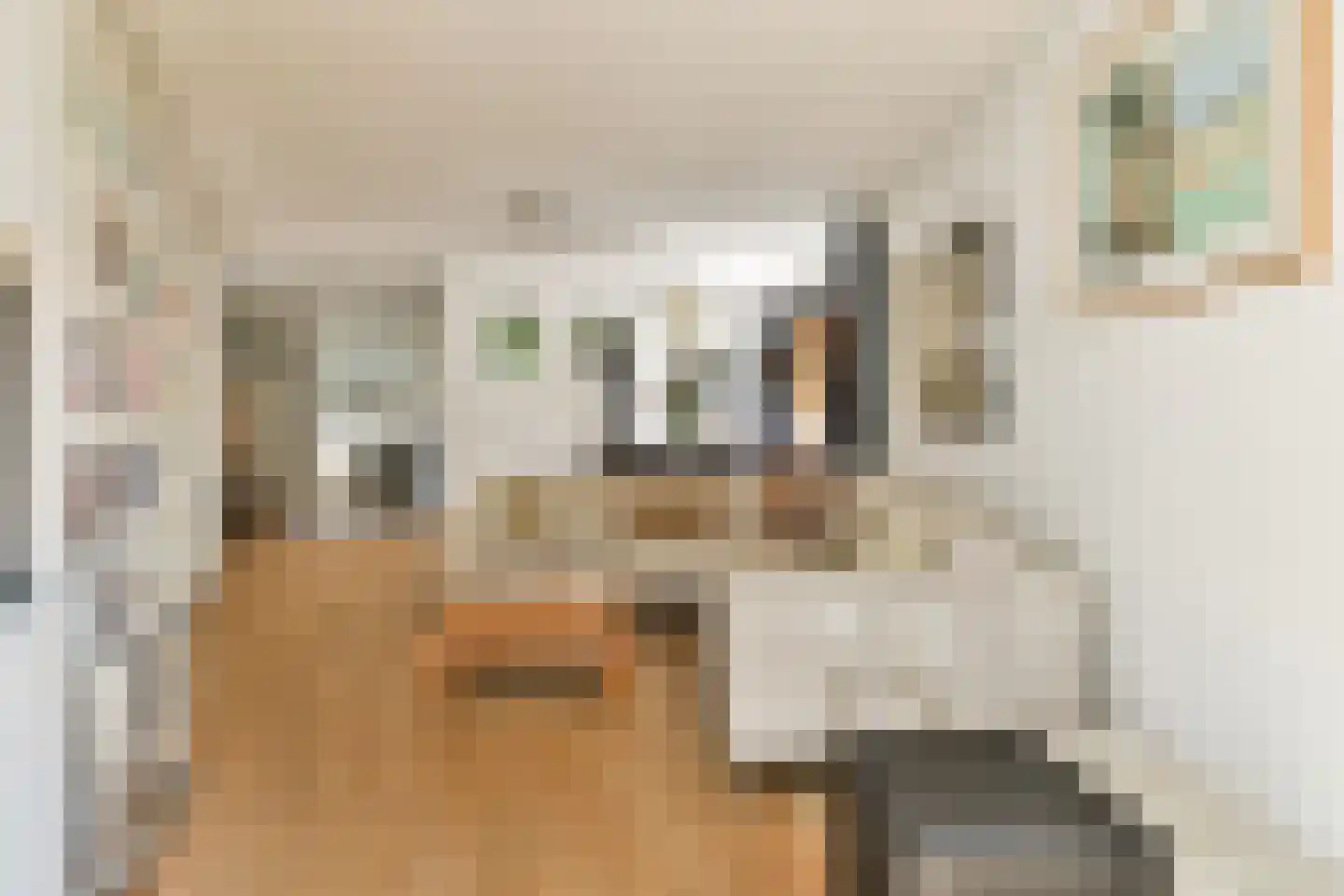 Lampenistenstraat 25 Amsterdam thumbnail 11