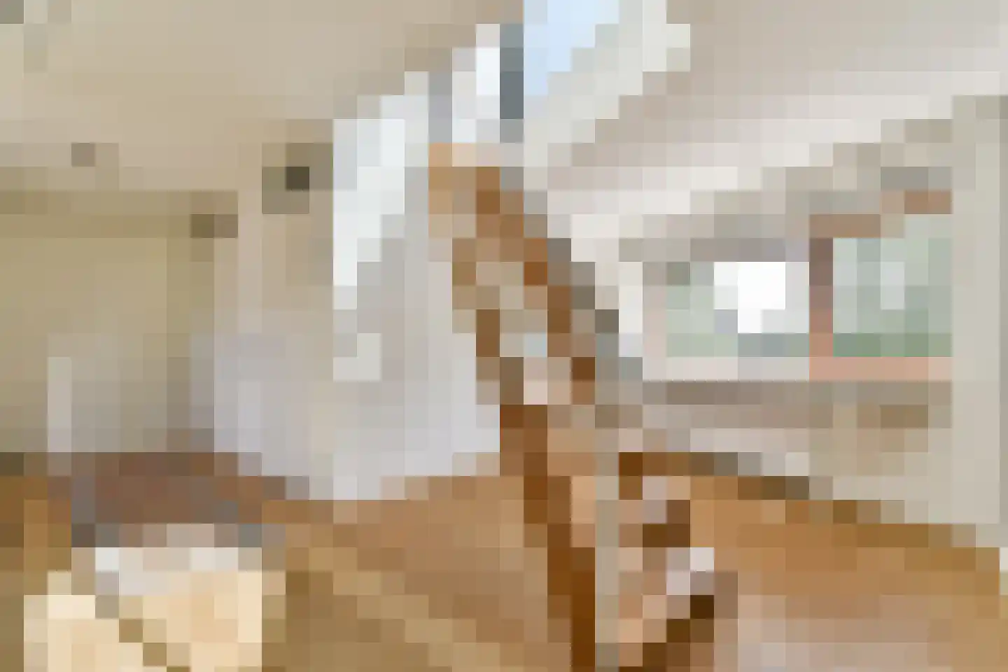 Lampenistenstraat 25 Amsterdam thumbnail 23