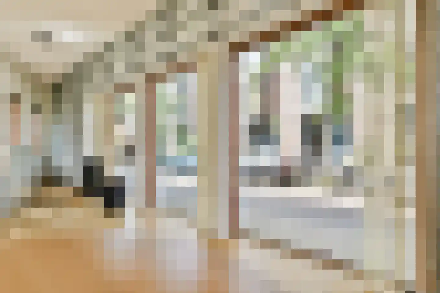 Lampenistenstraat 25 Amsterdam thumbnail 7