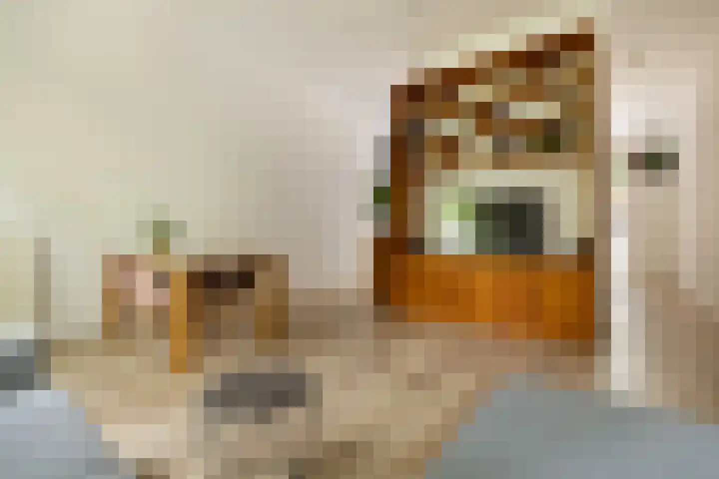 Lampenistenstraat 58 Amsterdam thumbnail 11