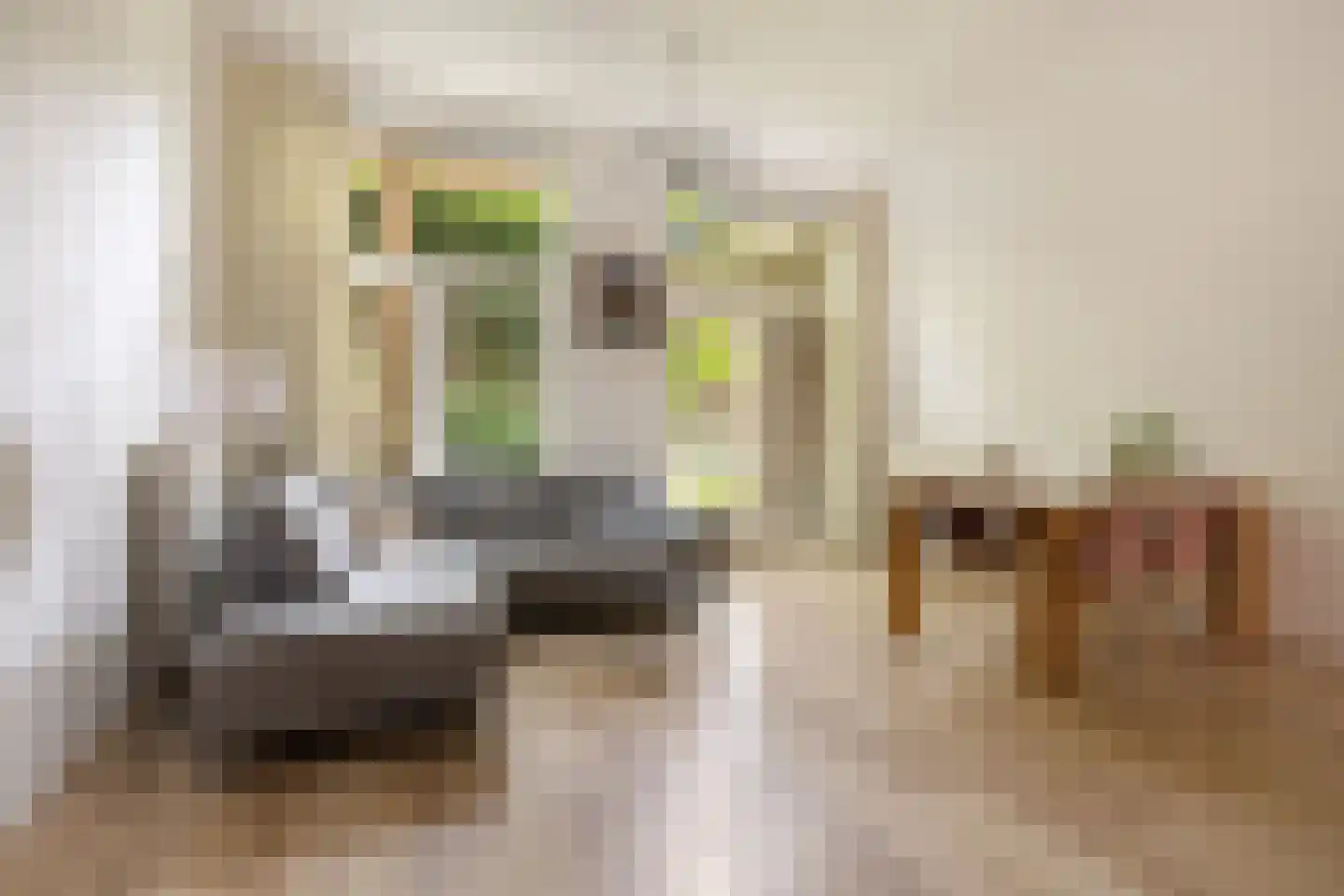 Lampenistenstraat 58 Amsterdam foto 2