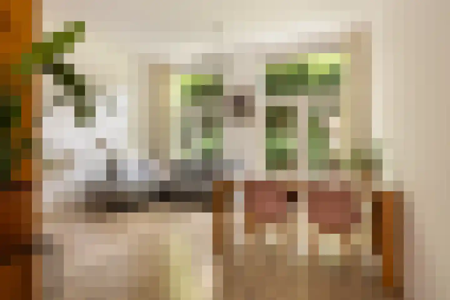 Lampenistenstraat 58 Amsterdam thumbnail 7