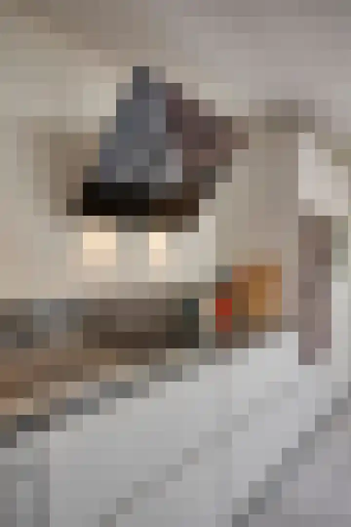 Lampenistenstraat 63 Amsterdam thumbnail 18