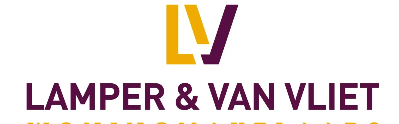 Photo d'équipe de Lamper & Van Vliet Woningmakelaars