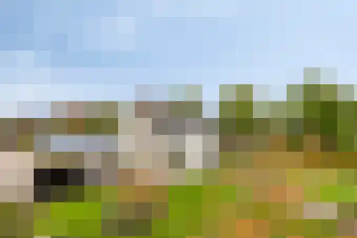 Lamperen 16 Wanroij thumbnail 11