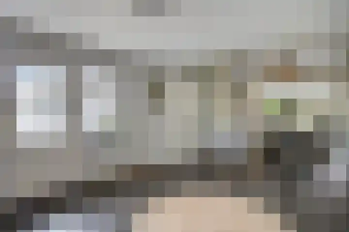 Lamperen 16 Wanroij thumbnail 26