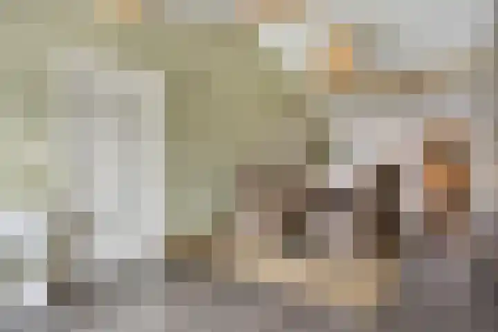 Lamperen 16 Wanroij thumbnail 30