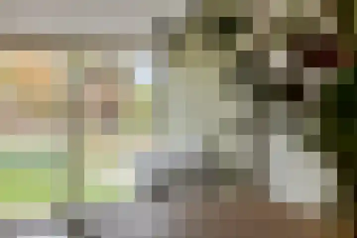 Lamperen 16 Wanroij thumbnail 33