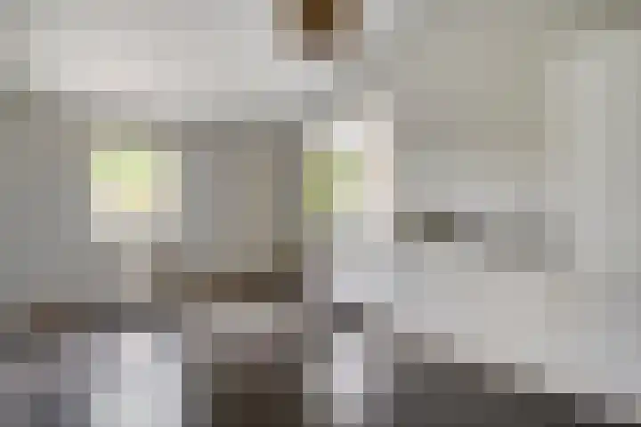 Lamperen 16 Wanroij thumbnail 34